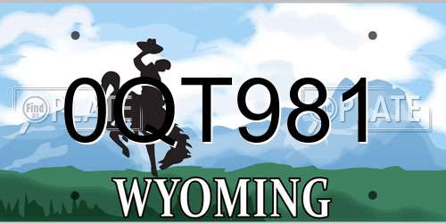 0QT981 Wyoming License Plate