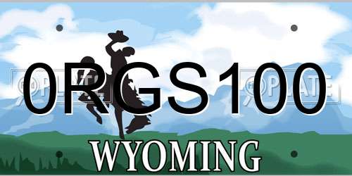 0RGS100 Wyoming License Plate