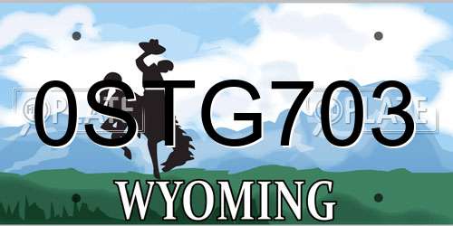 0STG703 Wyoming License Plate