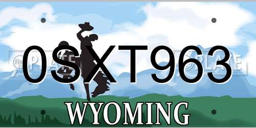 0SXT963 Wyoming License Plate