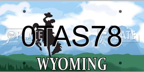 0TAS78 Wyoming License Plate
