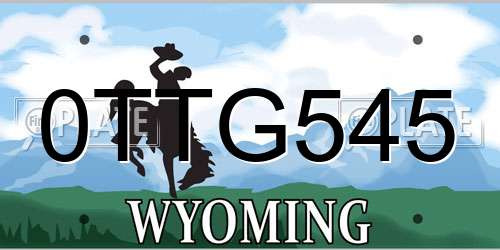 0TTG545 Wyoming License Plate