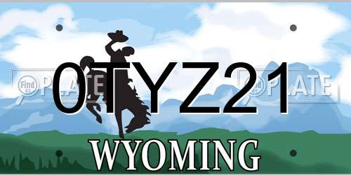 0TYZ21 Wyoming License Plate