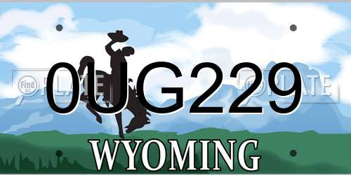0UG229 Wyoming License Plate