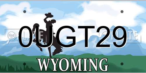 0UGT29 Wyoming License Plate