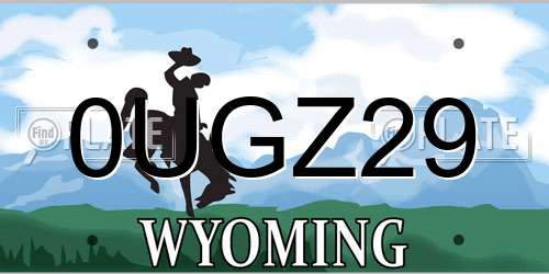0UGZ29 Wyoming License Plate
