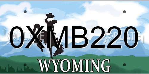 0XMB220 Wyoming License Plate