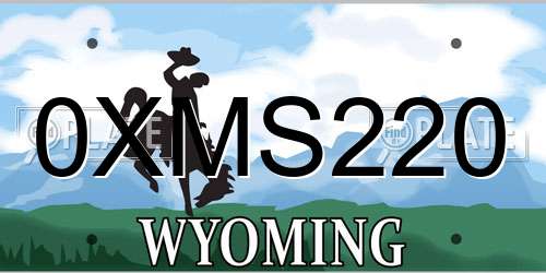 0XMS220 Wyoming License Plate