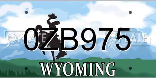 0ZB975 Wyoming License Plate