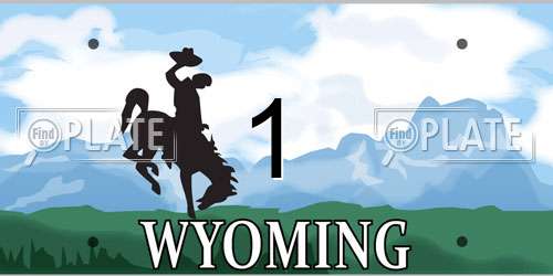 1 Wyoming License Plate