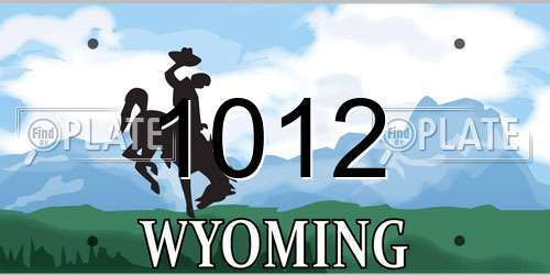 1012 Wyoming License Plate