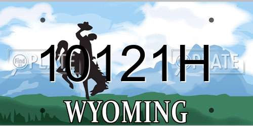 10121H Wyoming License Plate