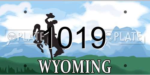 1019 Wyoming License Plate