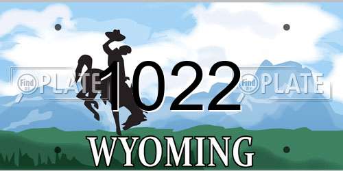 1022 Wyoming License Plate