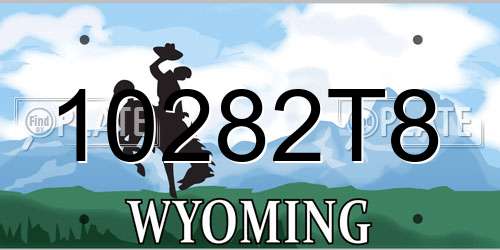 10282T8 Wyoming License Plate