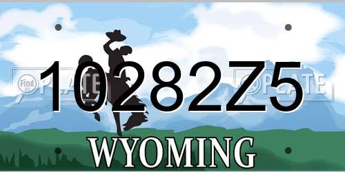 10282Z5 Wyoming License Plate