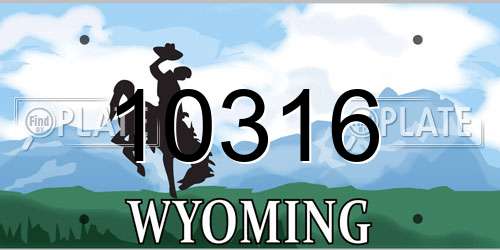 10316 Wyoming License Plate