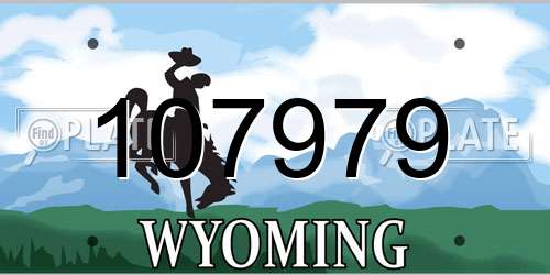 107979 Wyoming License Plate