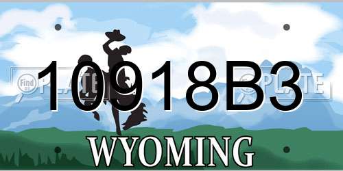 10918B3 Wyoming License Plate