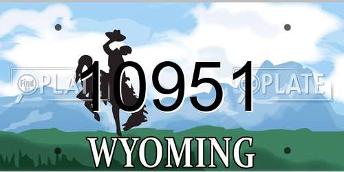10951 Wyoming License Plate