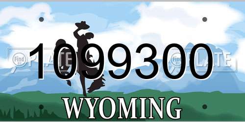 1099300 Wyoming License Plate