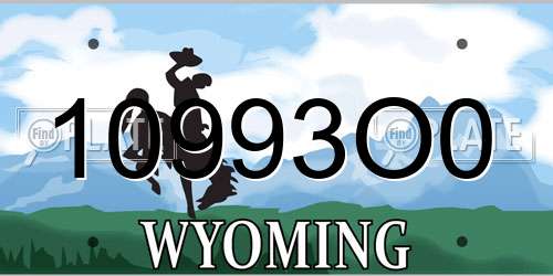 10993O0 Wyoming License Plate
