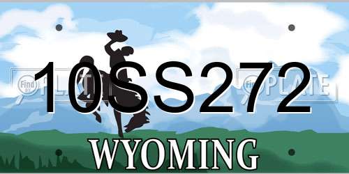 10SS272 Wyoming License Plate