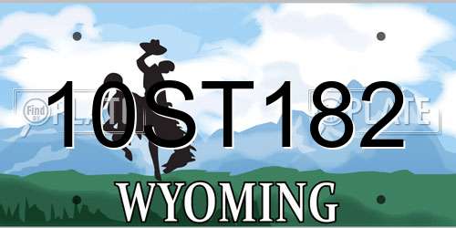 10ST182 Wyoming License Plate