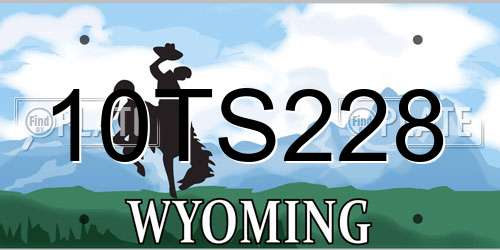 10TS228 Wyoming License Plate