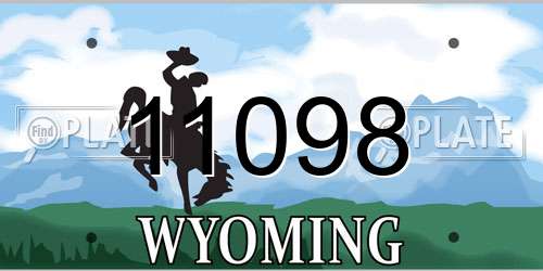 11098 Wyoming License Plate