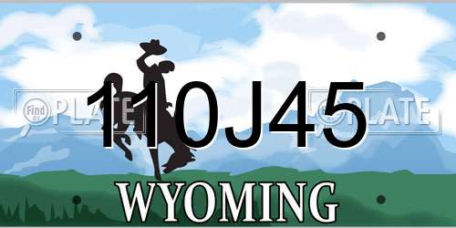 110J45 Wyoming License Plate