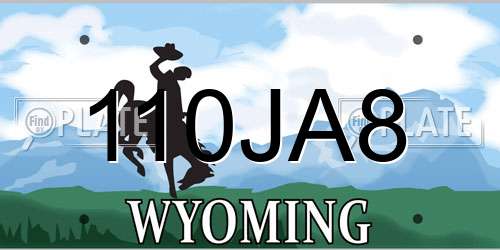 110JA8 Wyoming License Plate