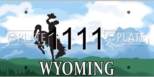 1111 Wyoming License Plate