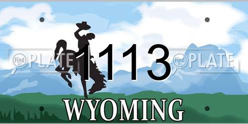 1113 Wyoming License Plate