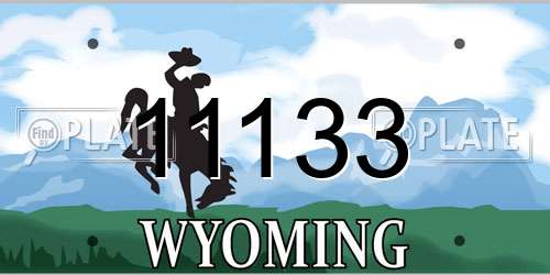 11133 Wyoming License Plate
