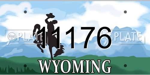 11176 Wyoming License Plate