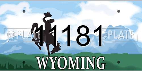11181 Wyoming License Plate