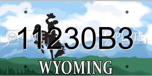 11230B3 Wyoming License Plate