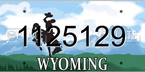 1125129 Wyoming License Plate