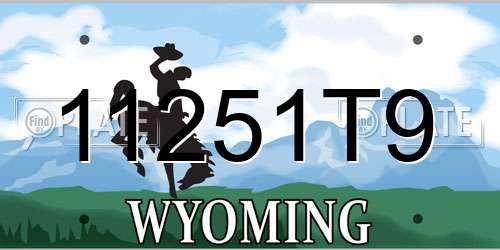 11251T9 Wyoming License Plate