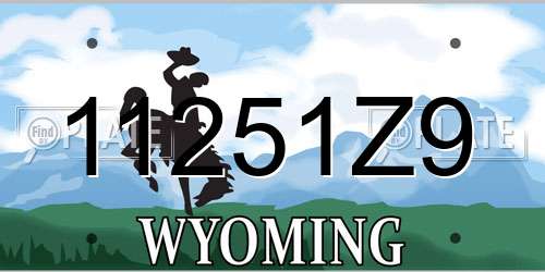 11251Z9 Wyoming License Plate