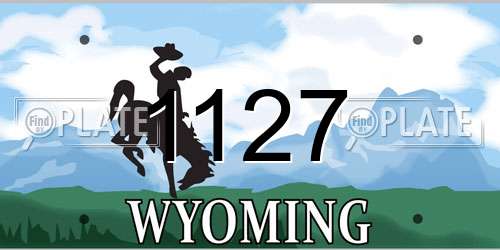 1127 Wyoming License Plate