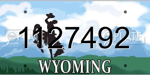 1127492 Wyoming License Plate