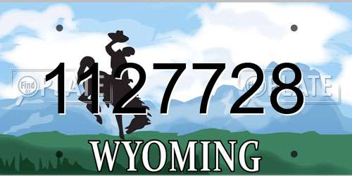1127728 Wyoming License Plate