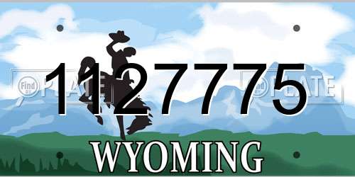 1127775 Wyoming License Plate