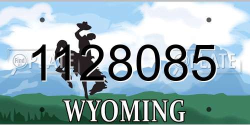 1128085 Wyoming License Plate