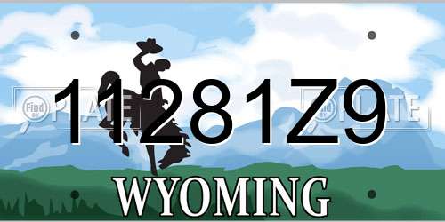 11281Z9 Wyoming License Plate