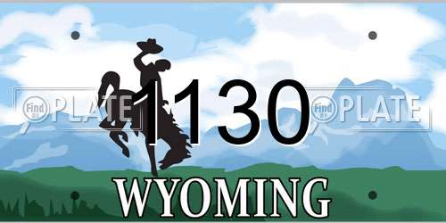 1130 Wyoming License Plate