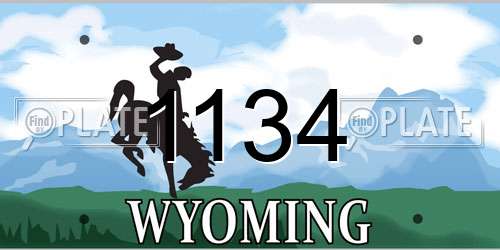 1134 Wyoming License Plate