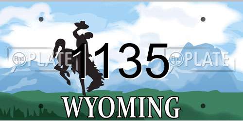 1135 Wyoming License Plate
